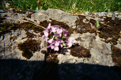 photo00003.jpg